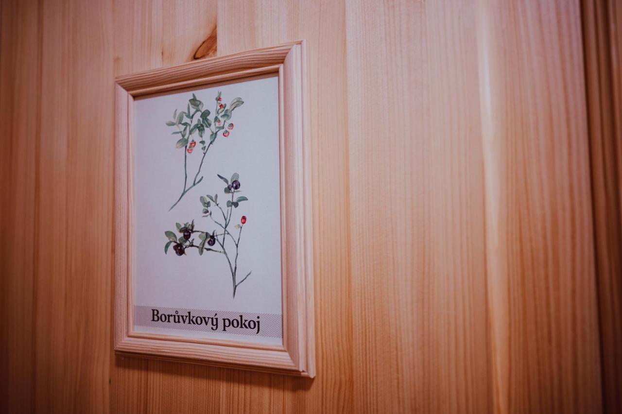 Penzion Brusinka Kocourov  ภายนอก รูปภาพ